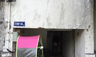 武夷山学校 武夷山学校